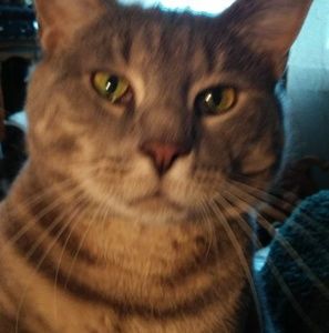 Meet your Posher, Karyn